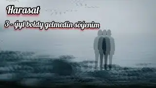 Harasat - 3 Ýyl Boldy Gelmedin Söýenim😞