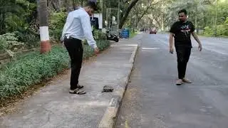 Tortoise rescued from footpath and relocated in Powai lake inside IIT Bombay