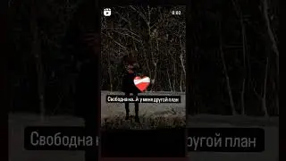 28 декабря 2023 г.