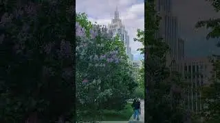 Индивидуальные экскурсии по Москве. Маршруты на сайте в профиле