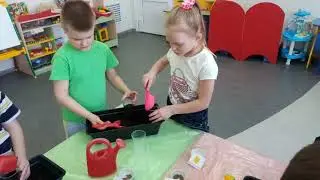 Познавательный проект 