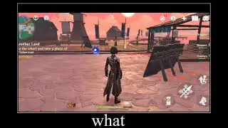 Genshin NPCs can teleport..
