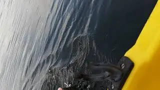 Fishing with Svendsen