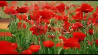 Друзьям.Видеоелип.