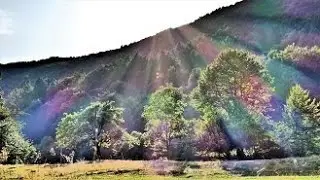 В поисках Фудзи...