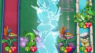 Stonk + Bird Of Paradise²