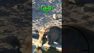 Bow Hunting Wild Africa