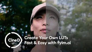 Create your own LUTs in Just a Few Clicks with fylm.ai