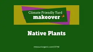 Planning Your Garden