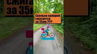 Сколько калорий можно потерять при езде на велосипеде на 35 км? 🚴‍♂️🔥 #похудение #велосипед #shorts