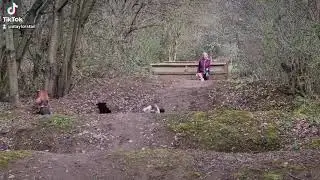 Doggy DayCare - Holme Pierrepont Country Park