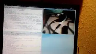 USB webcam on NanoPi Neo streams to old T42 Thinkpad (gst-launch-0.10)