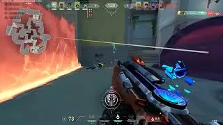 Punished the Aggressive Clove