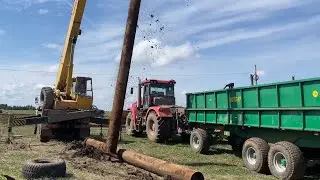 КИРОВЕЦ К-739 работает не только в поле. Транспортные работы на ПСТБ-17.