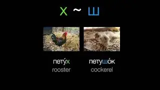 Expand your Russian vocabulary the smart way with patterns: consonant mutations with х and ш!