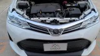 2020 Toyota Corolla Fielder