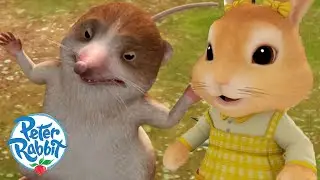 ‪@OfficialPeterRabbit‬