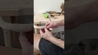 Змея из липы #резьба #woodcarving