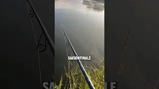 LETZTE Chance? Der 01.04. 🗓 rückt immer näher... #angeln #Shorts #fishing