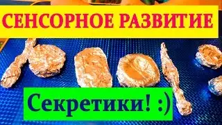 Раннее развитие. Сенсорное развитие. Игра "Секретики"