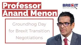 Professor Anand Menon: Groundhog Day for Brexit Transition Negotiations