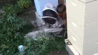 пчеловоды