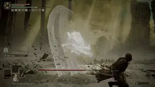 Elden Ring | Consort Radahn [No Damage, No shield] + Tips