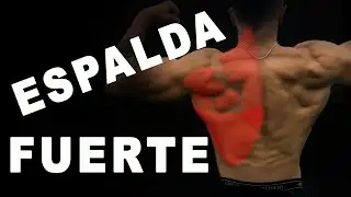🔻 3 EJERCICIOS para ESPALDA FUERTE 🔥 CALISTENIA