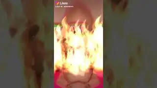 12 ноября 2019 г.