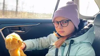 Новая покупка Алисы ! Мишка с двигающимися лапками ! 