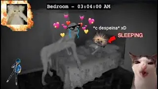 ARRUINANDO VÍDEOS DE TERROR!! (parte -18)😎😹