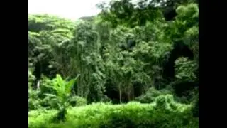 MSO - Colombia (In The Jungle) rare groove vinyl