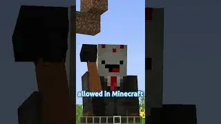 Why is this in Minecraft?!