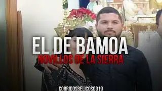 El De Bamoa - Novillos De La Sierra| En Vivo (Corridos 2023)