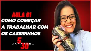 COMO COMEÇAR A TRABALHAR COM OS CASEIRINHOS -  AULA 1 - [ MARATONA 5 EM 30 ]