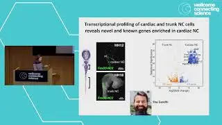 Single Cell Biology 2024 | Keynote by Marianne Bronner, California Institute of Technology, USA