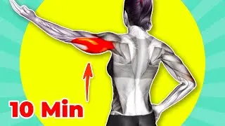 Do These 10 Arms Lose Fat Exercises - Say Goodbye to Flabby Arms!