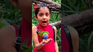New location alert !! Ultimate bird petting experience | Birds of Paradise