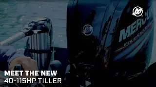 Meet the New 40-115hp Tiller