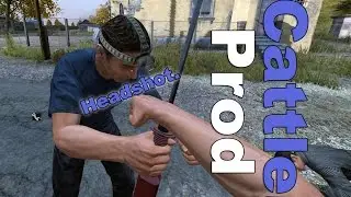 Making Friends with a Cattle Prod - DayZ