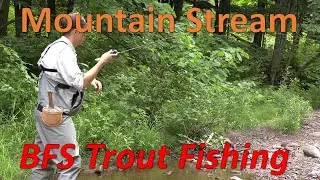 BFS Trout Fishing - Mountain Bait Finesse Casting (Alphas AIR TW)