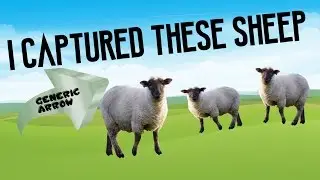 I CAPTURE SHEEP! 100+ Great Games Pack