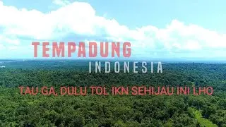 Cinematic Video Drone Vegetasi Tempadung (Tol IKN)