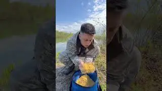 Уловистая прикормка #shorts #рыбалка