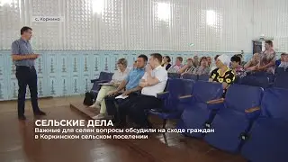 Важные для селян вопросы обсудили на сходе граждан в Коркино