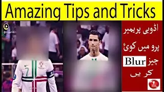 How to Blur anything in Video on Adobe Premiere Pro 2020 100 Working