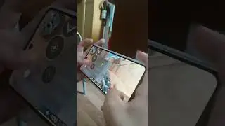 24 августа 2024 г.