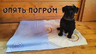 Разборка ТАЙНОЙ КОМНАТЫ - Тотоша лишился ДИВАНА