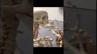 Скелет делает мюинг 