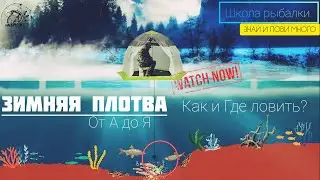 ПЛОТВА ЗИМОЙ. ГДЕ И КАК ЛОВИТЬ? ЗНАЙ И ЛОВИ МНОГО! 